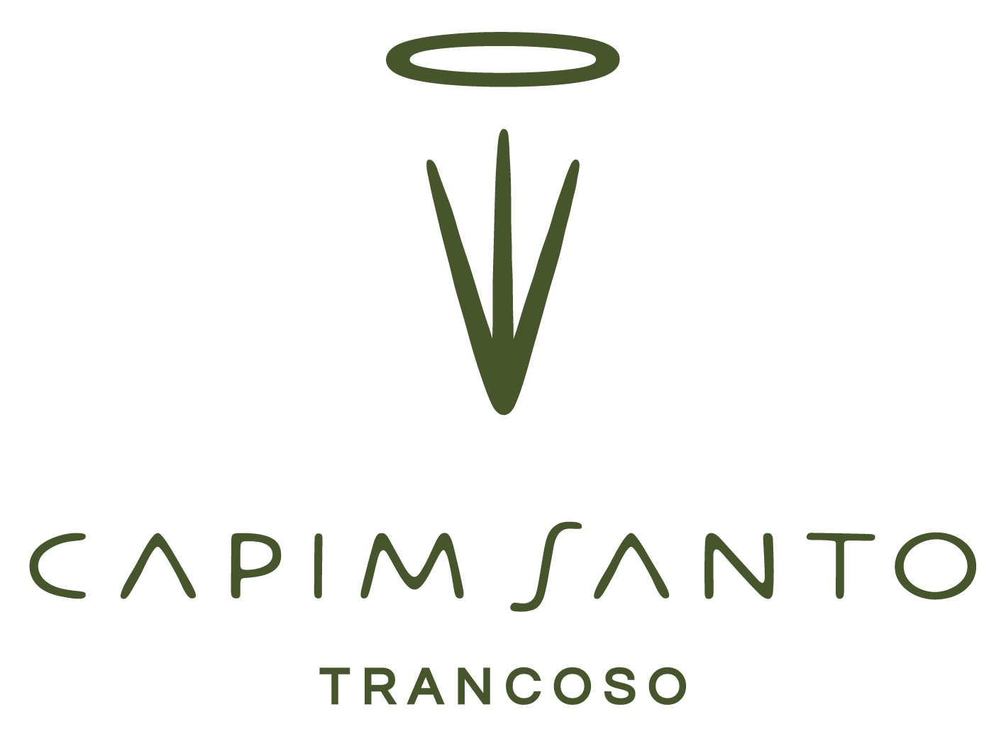 logo-capimsanto
