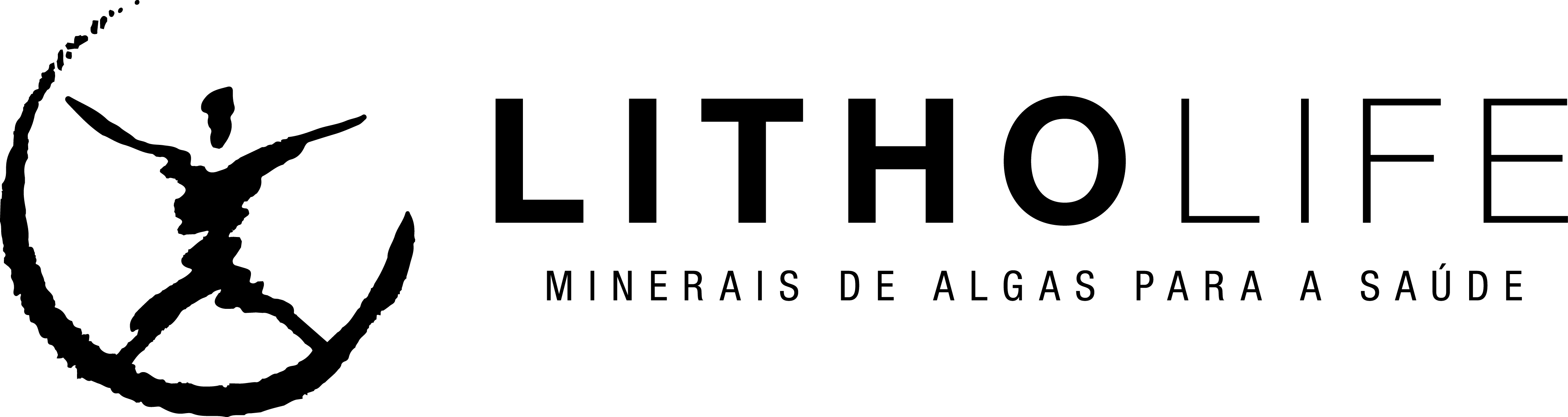 Logo marca Litholife